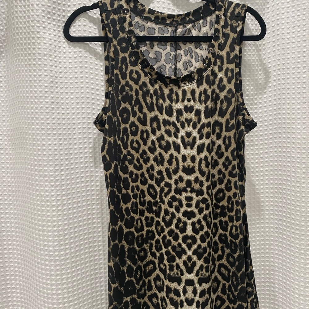 Cheetah Tank